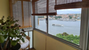 Отель Apartamento vista Douro e Mar  Atiães